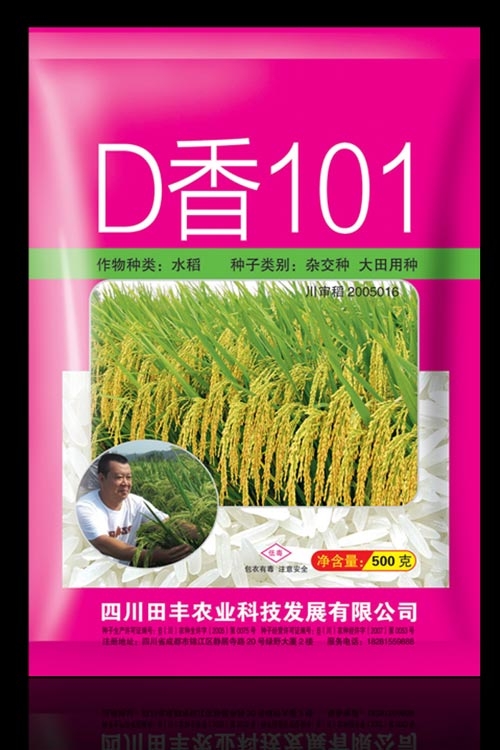 D香101